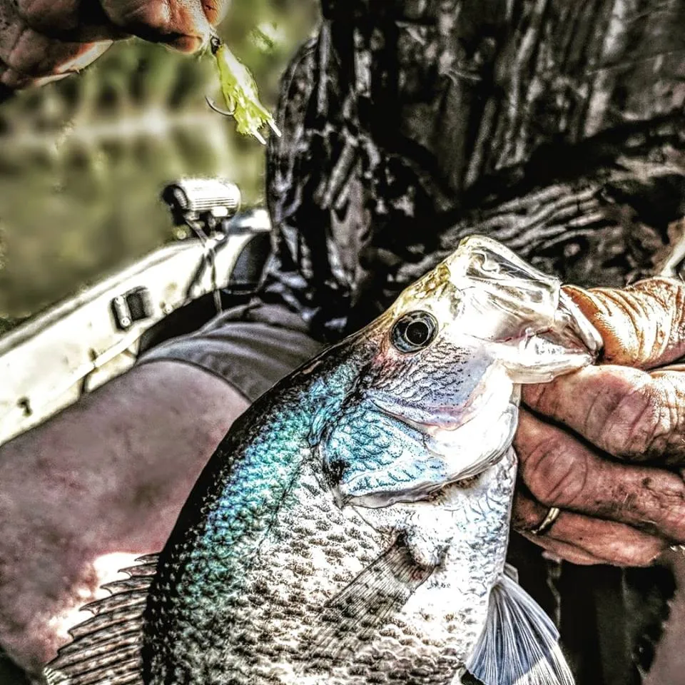 Fishing Card : Survival Fishing Kit